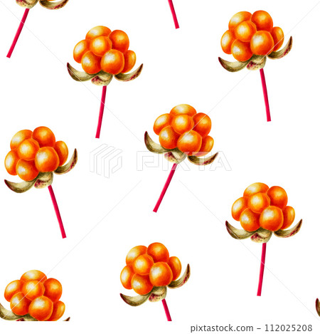 Watercolor seamless pattern with northern forest berry cloudberry illlustrations. Juicy orange berry isolated on background. Clip art for designers, travel business, postcards, scrapbooking, covers, Watercolor seamless pattern with northern forest berry cloudberry illlustrations. Juicy orange berry isolated on background. Clip art for designers, travel business, postcards, scrapbooking, covers, 112025208