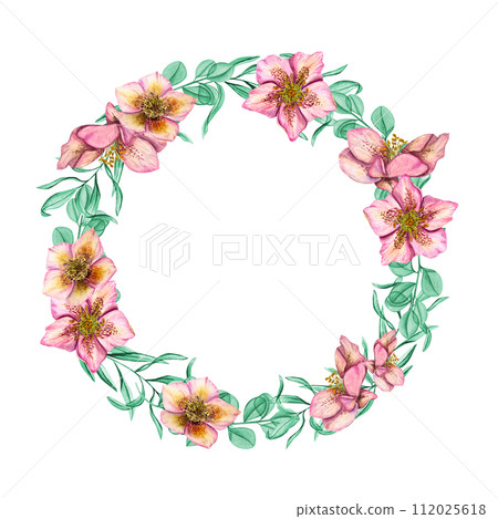 Pink Hellebores with mint herbs. Spring plants in trendy colors. Wreath of Helleborus flower with eucalyptus branches. Watercolor illustration. For wedding invitation, birthday cards 112025618