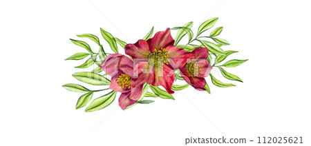 Purple Hellebores with green herbs. Spring plants. Three Helleborus flower heads with eucalyptus branches. Garden flowers. Watercolor illustration. For wedding invitation, birthday cards 112025621