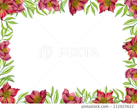 Purple Hellebores with green herbs. Horizontal frame with copy space for text. Spring plants. Helleborus flower, eucalyptus branches. Watercolor illustration. For wedding invitation, birthday cards 112025622