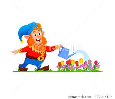 Cartoon gnome or dwarf gardener character, adorned in vibrant attire and a pointy hat, cheerfully tends to blooming flowers. Isolated vector personage carefully watering blooms with a contented smile 112026188