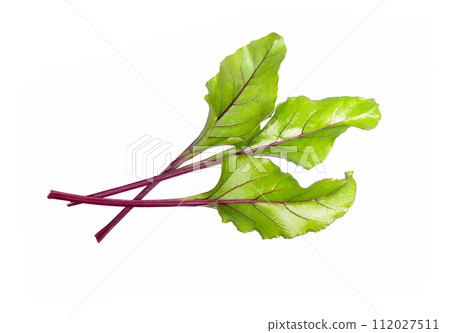 Beet leaf on white 112027511