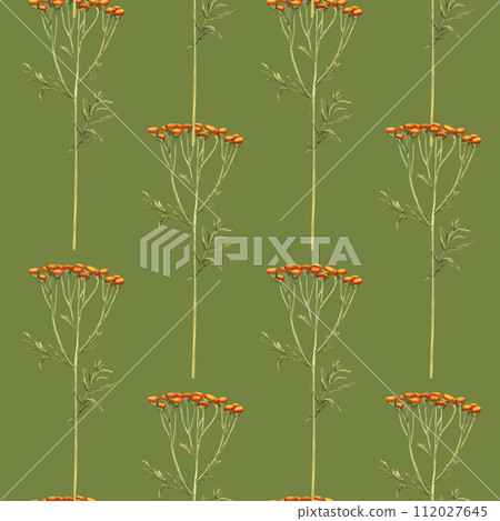 Watercolor illustration yellow tansy seamless pattern. Hand drawn background with field flower and green leaves on isolated background. Vintage wallpaper with herbs and wildflowers 112027645