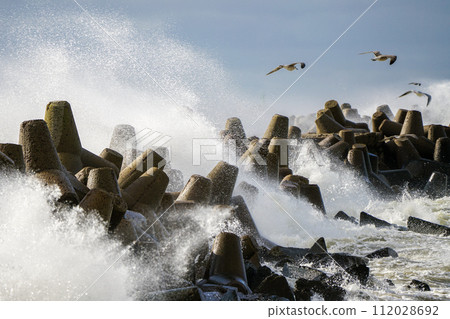 Hurricane scene, a seagull flies over waves and splashes during a coastal storm, selected focus 112028692