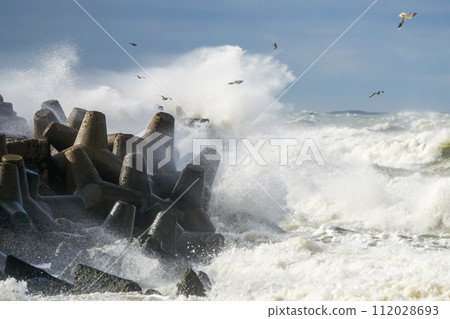 Hurricane scene, a seagull flies over waves and splashes during a coastal storm, selected focus 112028693