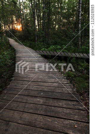 Empty wooden walkway goes through the dark forest Empty wooden walkway goes through the dark forest 112028985