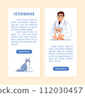 Veterinary medicine flyer or vertical banner with copy space, button. Young veterinarian, dog in protective cone, cute cat with injured paw on white background Flat line vet clinic vector illustration 112030457