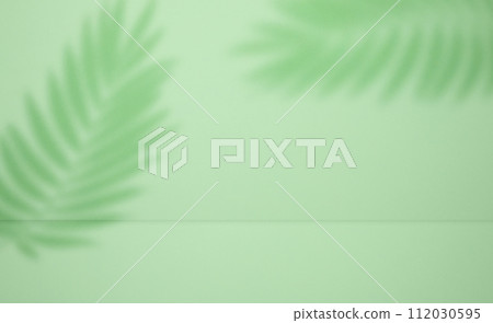 Green stage with shadow from a palm leaf for product demonstration and advertising 112030595