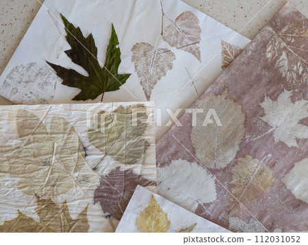 Experimental natural dyeing of paper. Leaf print on the sheets of paper, close up Experimental natural dyeing of paper. Leaf print on the sheets of paper, close up 112031052