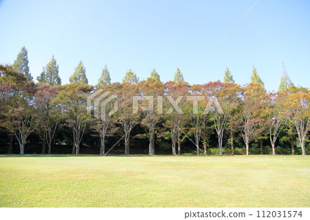 Autumn park Autumn park 112031574