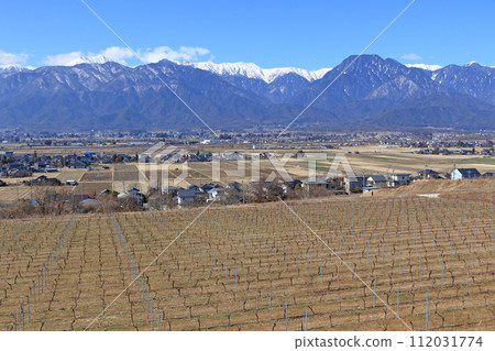 Winter Azumino Vineyard and Northern Alps Winter Azumino Vineyard and Northern Alps 112031774