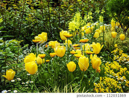 Flower Garden Flower Garden 112031869
