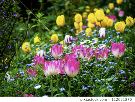 Flower Garden Flower Garden 112031870