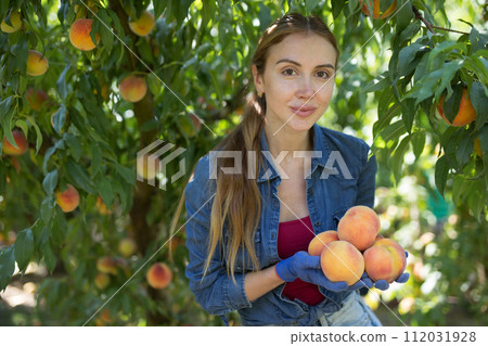 Successful young female farmer showing harvested peaches in garden 112031928