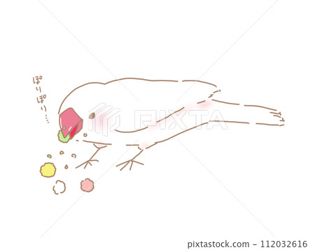 White Sparrow Eating Hina Hail 112032616