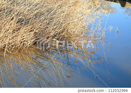 Midwinter waterside, blue sky reflected on the water surface, winter scenery Midwinter waterside, blue sky reflected on the water surface, winter scenery 112032966