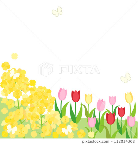 春山卡油菜花與鬱金香1:1縱橫比版本 112034308