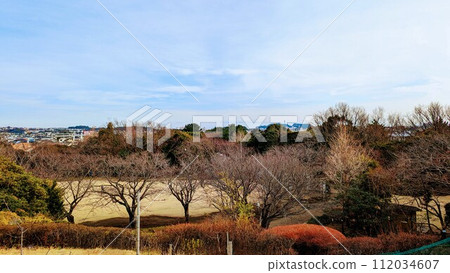 眺望江之島的冬景 112034607