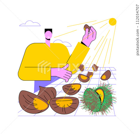 Chestnut farm isolated cartoon vector illustrations. Farmer controls chestnut production, agriculture enterprise, agribusiness worker, processing-manufacturing sector vector cartoon. 112034707