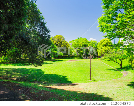 Suburban residential area, fresh green park 112034873