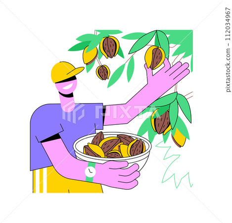 Almonds growing isolated cartoon vector illustrations. Farmer picking almonds from the tree, agriculture industry, agribusiness worker, processing-manufacturing sector vector cartoon. 112034967
