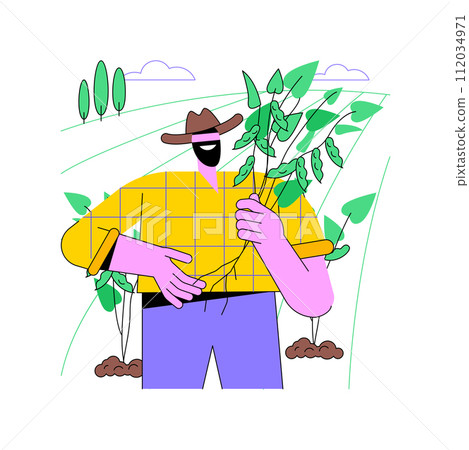 Soybean crops isolated cartoon vector illustrations. Farmer holding soybean stem, agriculture industry, agribusiness worker, processing-manufacturing sector, cultivation process vector cartoon. 112034971