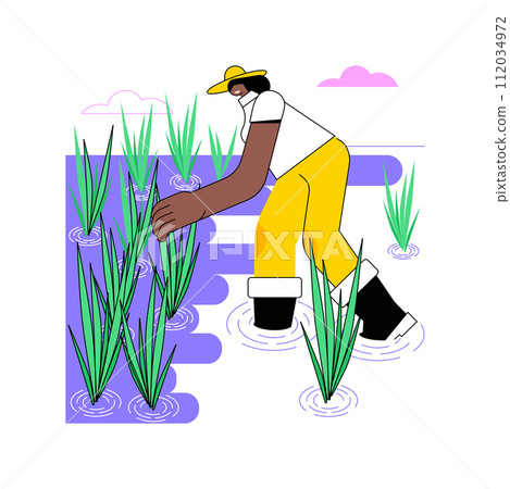 Rice growing isolated cartoon vector illustrations. Young farmer growing rice, agriculture harvest production, agribusiness industry, processing-manufacturing sector vector cartoon. 112034972