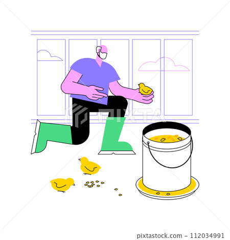 Poultry farming isolated cartoon vector illustrations. Farmer feeds the little chicks, agriculture industry, poultry care, agribusiness worker, production sector, animals rearing vector cartoon. 112034991