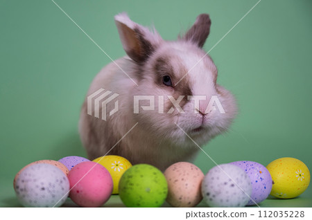 Easter Bunny on a green background with colorful painted eggs. 112035228