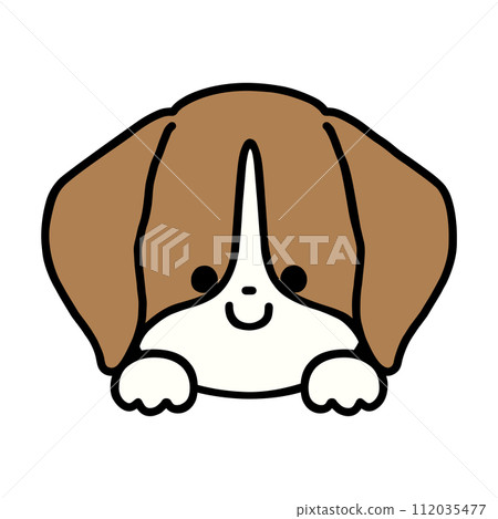可愛的小獵犬露出它的臉 可愛的小獵犬露出它的臉 112035477