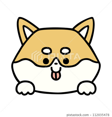 可愛的柴犬偷看 可愛的柴犬偷看 112035478