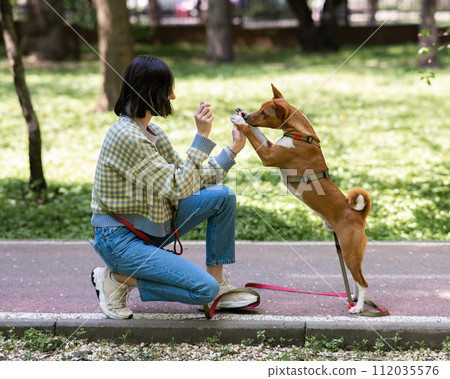 African dog sabbenji high fives the owner on a walk in the park. African dog sabbenji high fives the owner on a walk in the park. 112035576