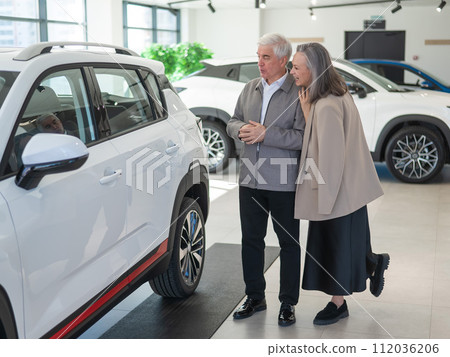 An elderly Caucasian couple chooses a new car at a car dealership. 112036206