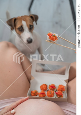 A pregnant woman sits on the sofa and eats rolls. Jack Russell Terrier dog sits on the floor and begs for food from its owner. A pregnant woman sits on the sofa and eats rolls. Jack Russell Terrier dog sits on the floor and begs for food from its owner. 112037050