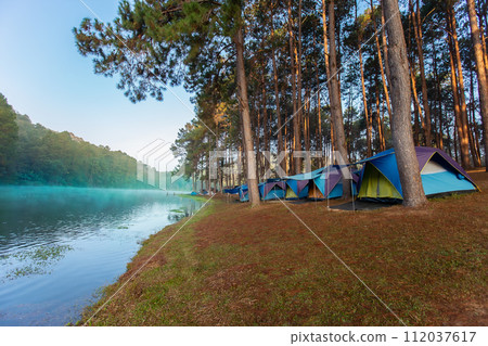 Camping, Woodland, Tent, Forest, Summer 112037617