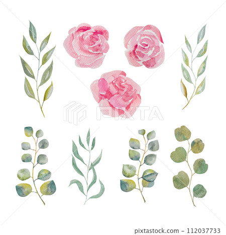 Watercolor floral illustration.Set of pink pink roses and eucalyptus greenery.roses for decoration 112037733