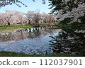 弘前公園花筏第9部分 112037901