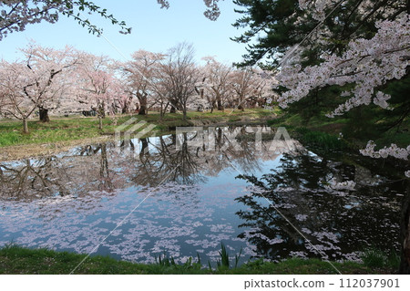 Hirosaki Park Flower Raft Part 9 112037901