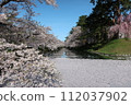 弘前公園花筏第8部分 112037902