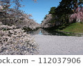弘前公園花筏第4部分 112037906