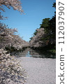 弘前公園花筏第3部分 112037907