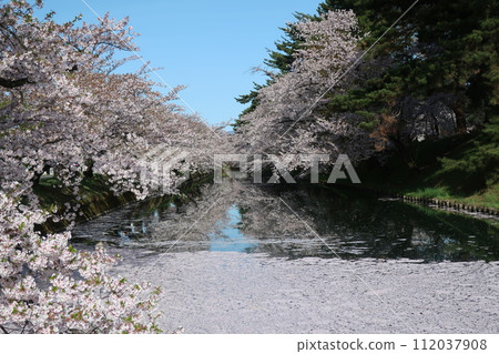 弘前公園花筏第2部分 112037908