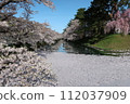 弘前公園花筏第1部分 112037909