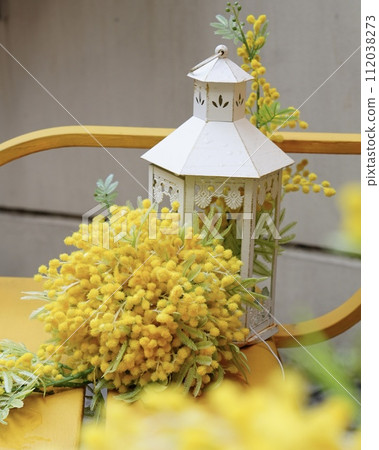 街角長凳上時尚的含羞草室內裝飾,垂直構圖 街角長凳上時尚的含羞草室內裝飾,垂直構圖 112038273