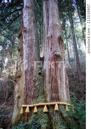 Oiwa Shrine Sanbonsugi of Mt. Oiwa Oiwa Shrine Sanbonsugi of Mt. Oiwa 112038407
