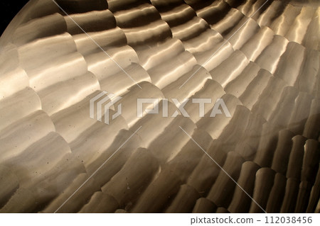 Screw display in front of Imabari Port Office 112038456