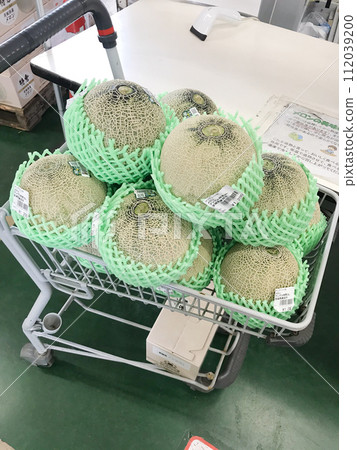 瓜堆在車裡 112039200