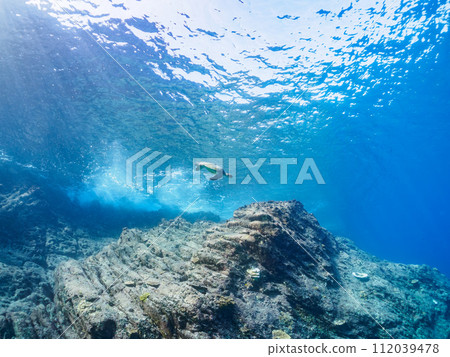 A beautiful and large green sea turtle (Sea Turtle family) and a colony of coral. At Nakanoura Beach, Shikinejima, Izu Islands, Tokyo. 112039478