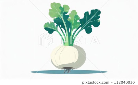 蘿蔔/蘿蔔白背景 112040030