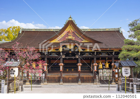 Kyoto in early spring Kitano Tenmangu Shrine flying plum blossoms and main hall 112040501